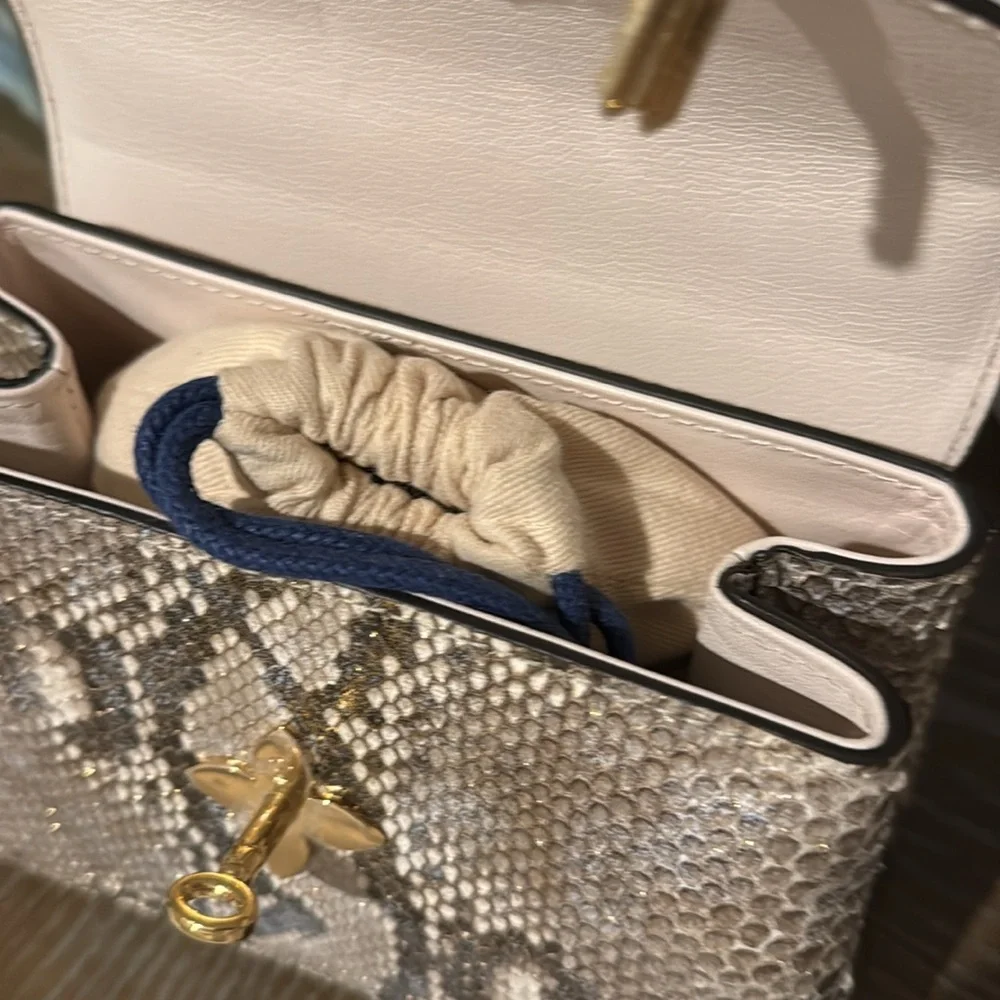 Louis Vuitton Exotic (python)collection - Picture 4 of 13
